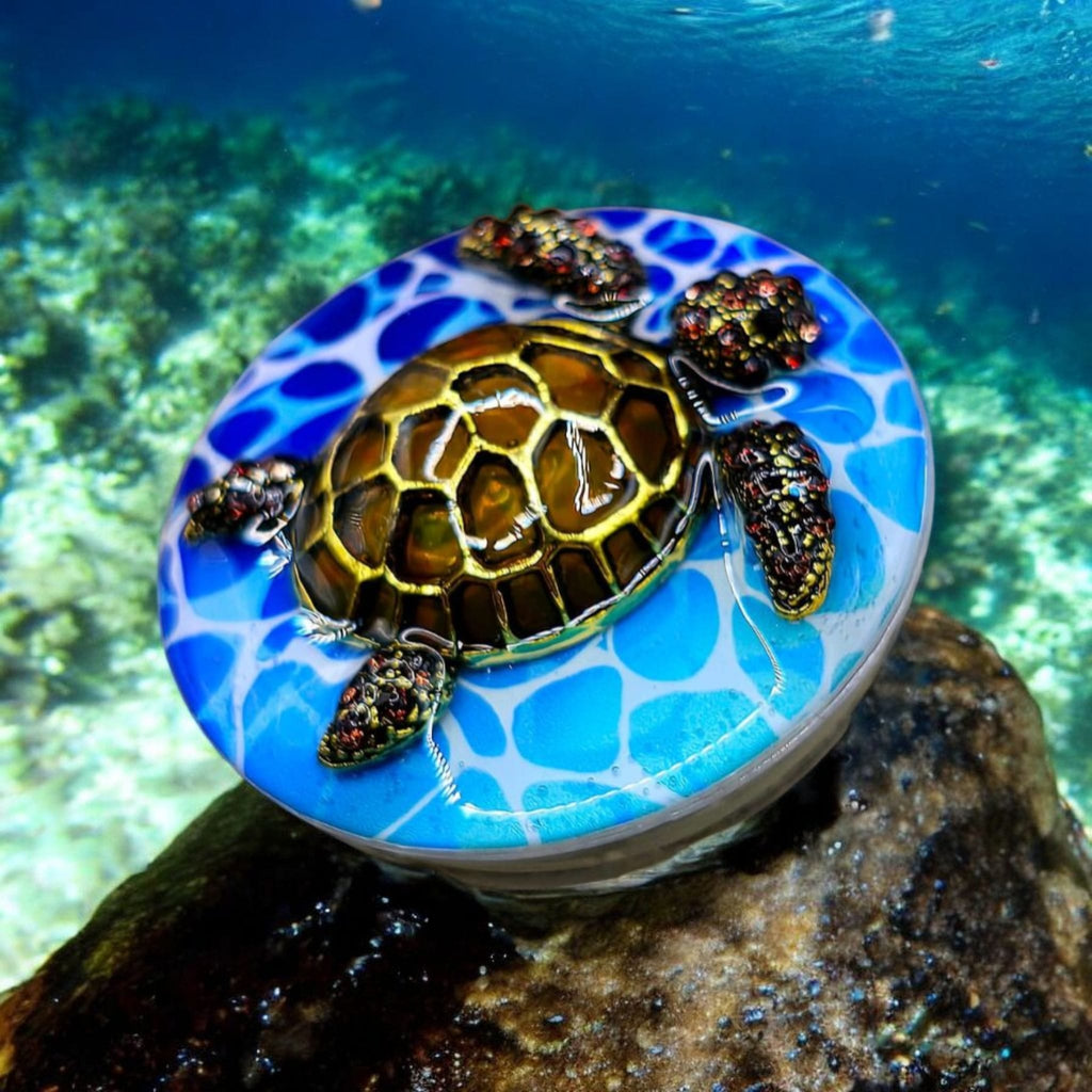 Sea Turtle Phone Grip – 5 Ocean-Inspired Designs, MagSafe & Adhesive Options, Gift IncludedSea Turtle Phone Grip – 5 Ocean-Inspired Designs, MagSafe & Adhesive Options, Gift Included