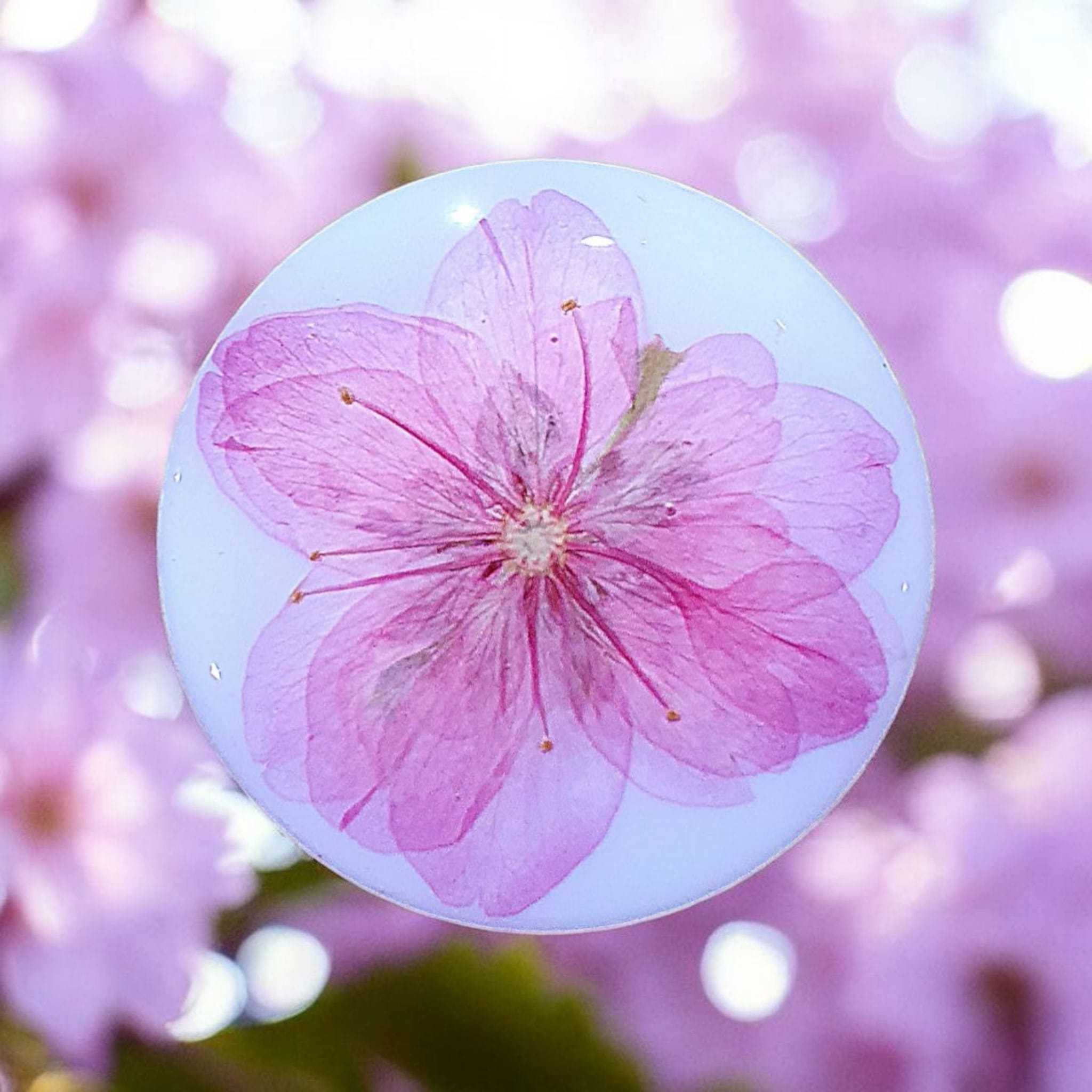 Cherry Blossom Phone Grip – Real Dried Flower Design, MagSafe & Adhesive Options, Gift Included